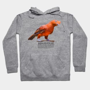 Andean cock-of-the-rock tropical bird black text Hoodie